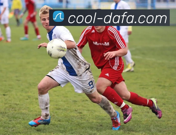 大发彩票APP 封面图